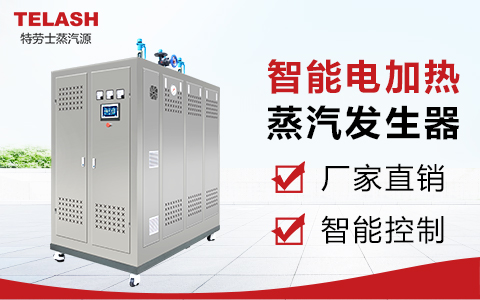 上海特劳士：电蒸汽发生器有哪些技术要求？