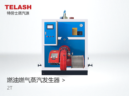 2.0 T 燃气（燃油）蒸汽发生器
